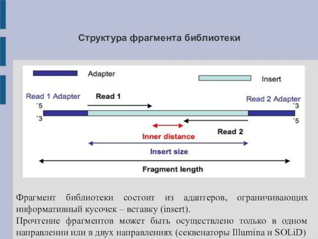 Структура фрагмента библиотеки Фрагмент библиотеки состоит из адаптеров, ограничивающих информативный