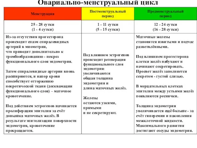 Овариально-менструальный цикл