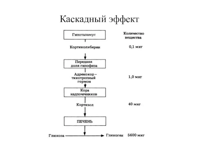 Каскадный эффект