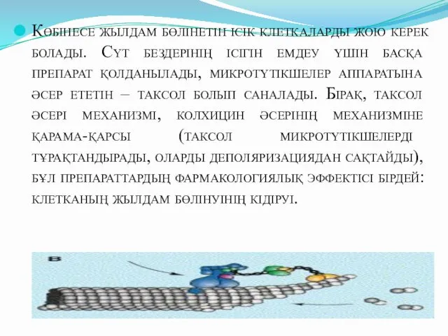 Көбінесе жылдам бөлінетін ісік клеткаларды жою керек болады. Сүт бездерінің