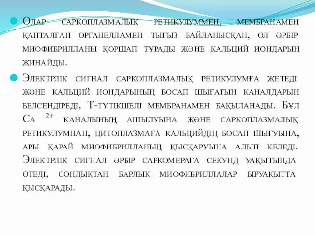 Олар саркоплазмалық ретикулуммен, мембранамен қапталған органелламен тығыз байланысқан, ол әрбір