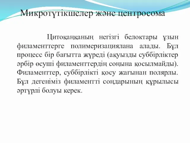 Цитоқаңқаның негізгі белоктары ұзын филаменттерге полимеризациялана алады. Бұл процесс бір