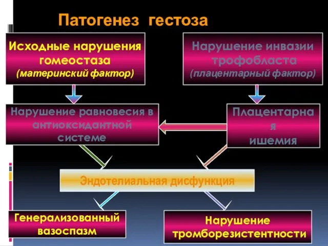 Патогенез гестоза Исходные нарушения гомеостаза (материнский фактор) Нарушение инвазии трофобласта