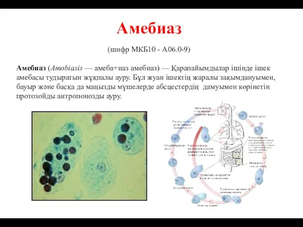 Амебиаз (шифр МКБ10 - A06.0-9) Амебиаз (Amobiasis — амеба+иаз амебиаз) — Қарапайымдылар ішінде