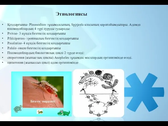 Этиологиясы Қоздырғышы- Plasmodium тұқымдасының, Spjrjzela класының қарапайымдылары. Адамда плазмедийлардың 4