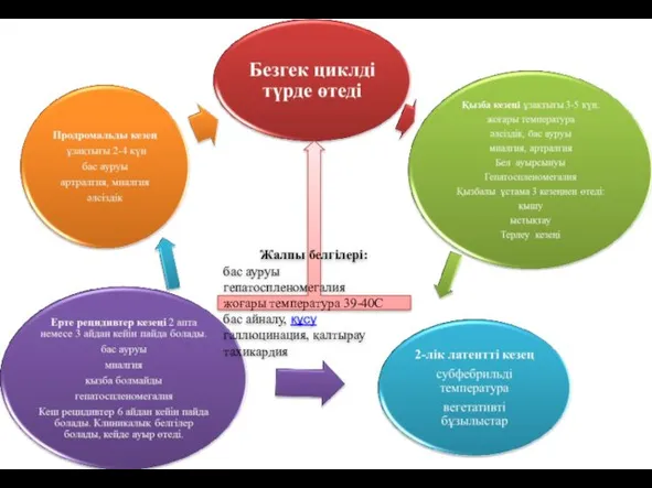 Жалпы белгілері: бас ауруы гепатоспленомегалия жоғары температура 39-40С бас айналу, құсу галлюцинация, қалтырау тахикардия