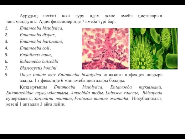 Аурудың негізгі көзі ауру адам және амеба цисталарын тасымалдаушы. Адам