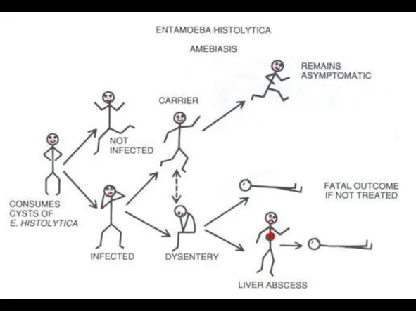 Clinical Spectrum of Amoebiasis