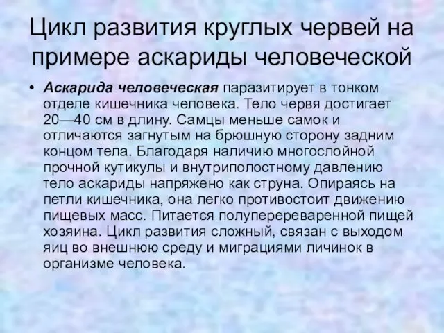 Цикл развития круглых червей на примере аскариды человеческой Аскарида человеческая