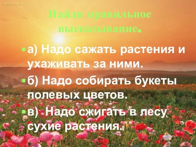 Найди правильное высказывание. а) Надо сажать растения и ухаживать за ними. б) Надо