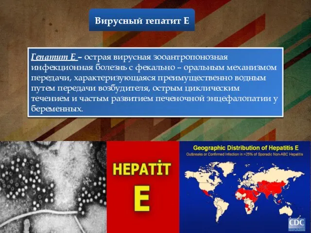 Вирусный гепатит Е Гепатит Е – острая вирусная зооантропонозная инфекционная болезнь с фекально