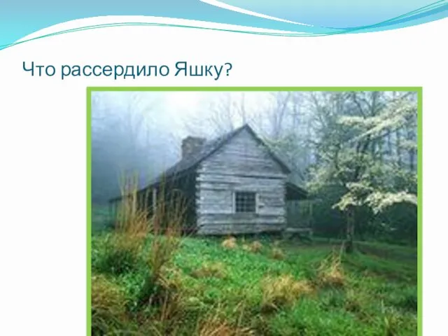 Что рассердило Яшку? И вот вместе с ним мы оказываемся у сарая, где