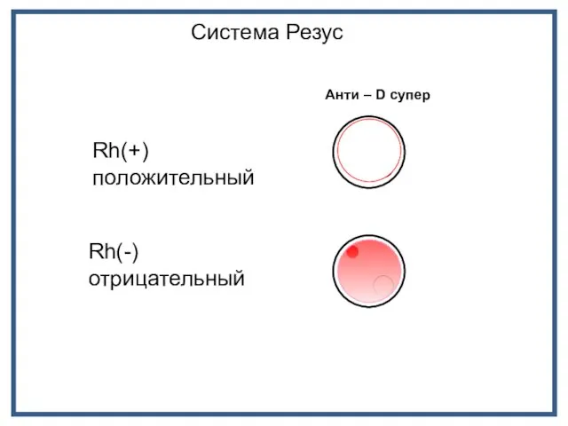 Анти – D супер Rh(+) положительный Rh(-) отрицательный Система Резус