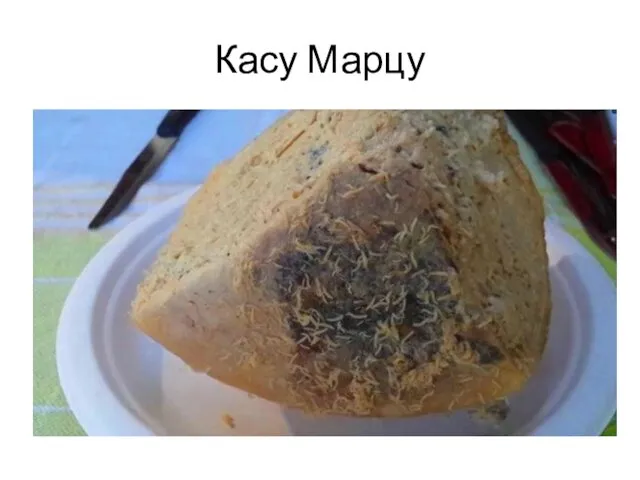 Касу Марцу