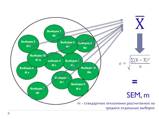 Выборка 1 М1 выборка Выборочные исследования Выборка 2 М2 Выборка