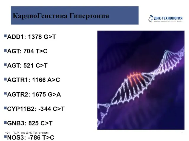 ПЦР - это ДНК-Технология * КардиоГенетика Гипертония ADD1: 1378 G>T AGT: 704 T>C