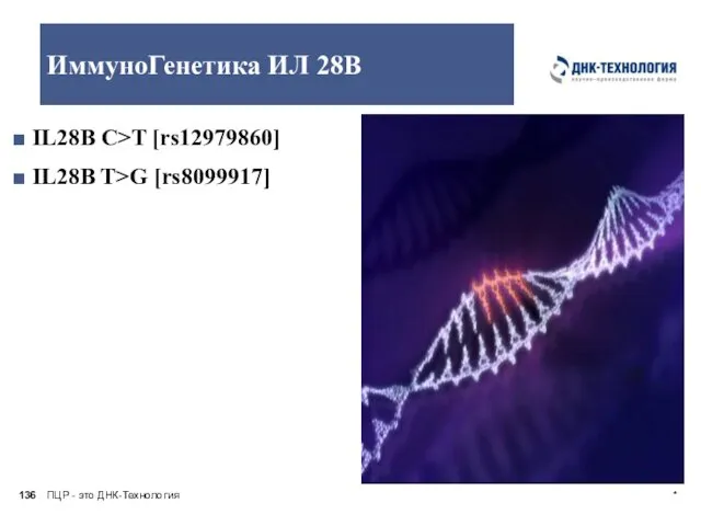 ПЦР - это ДНК-Технология * ИммуноГенетика ИЛ 28В IL28B C>T [rs12979860] IL28B T>G [rs8099917]