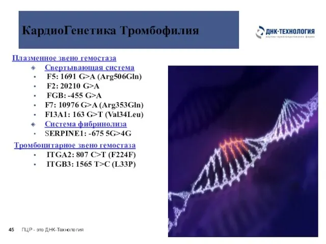 ПЦР - это ДНК-Технология * КардиоГенетика Тромбофилия Плазменное звено гемостаза Свертывающая система F5: