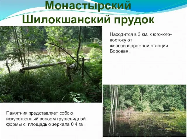 Монастырский Шилокшанский прудок Находится в 3 км. к юго-юго-востоку от железнодорожной станции Боровая.
