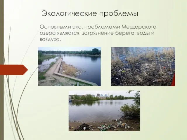 Экологические проблемы Основными эко. проблемами Мещерского озера являются: загрязнение берега, воды и воздуха.