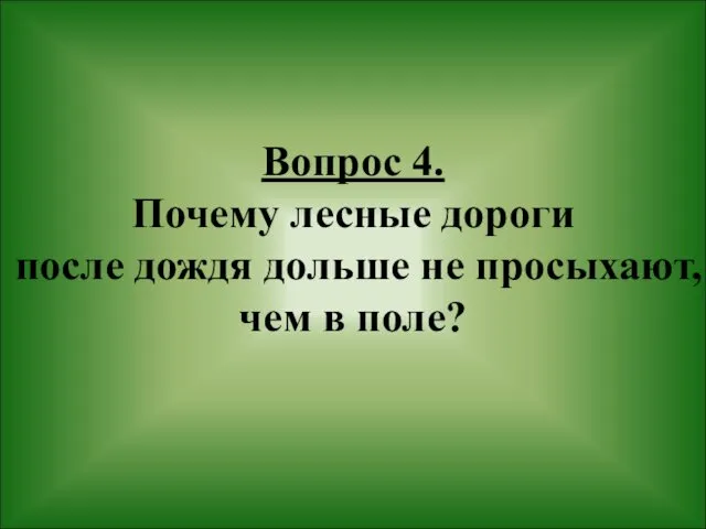 Вопрос 4. Почему лесные дороги после дождя дольше не просыхают, чем в поле?