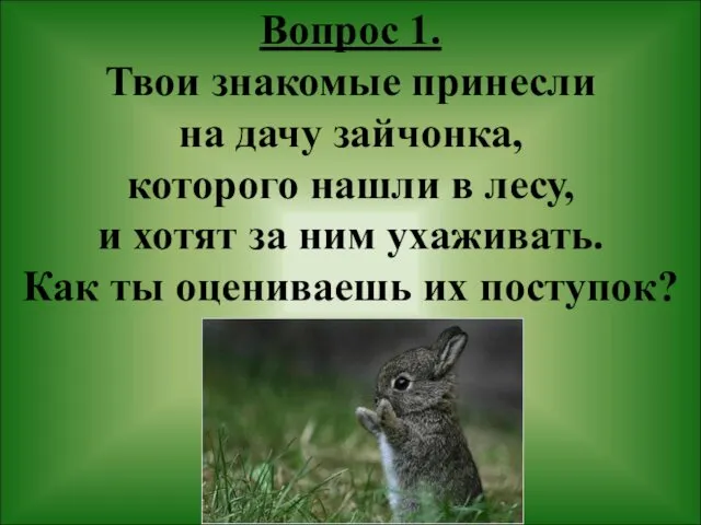 Вопрос 1. Твои знакомые принесли на дачу зайчонка, которого нашли