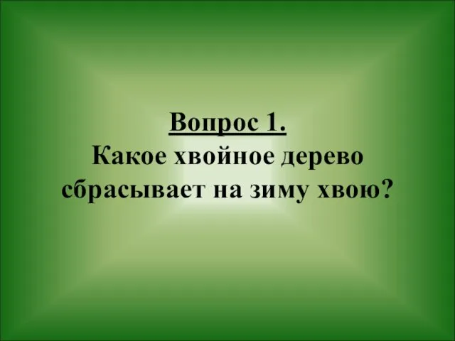 Вопрос 1. Какое хвойное дерево сбрасывает на зиму хвою?