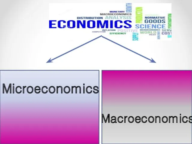 Microeconomics Macroeconomics