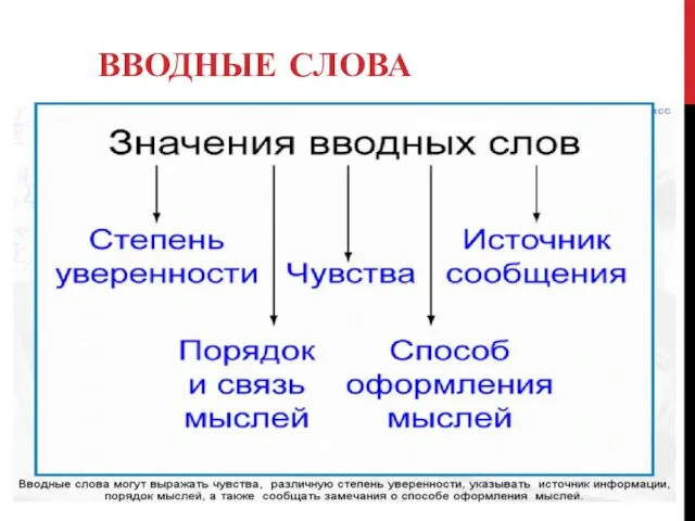 ВВОДНЫЕ СЛОВА