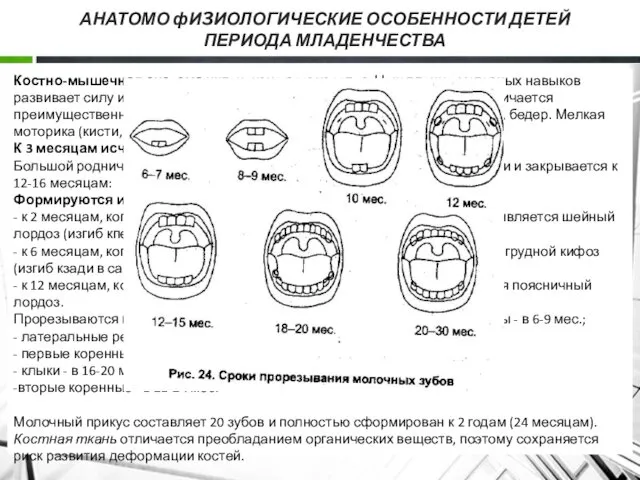 АНАТОМО фИ3ИОЛОГИЧЕСКИЕ ОСОБЕННОСТИ ДЕТЕЙ ПЕРИОДА МЛАДЕНЧЕСТВА Костно-мышечная система интенсивно развивается.