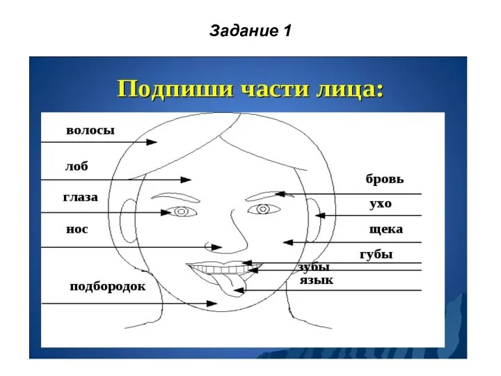 Задание 1