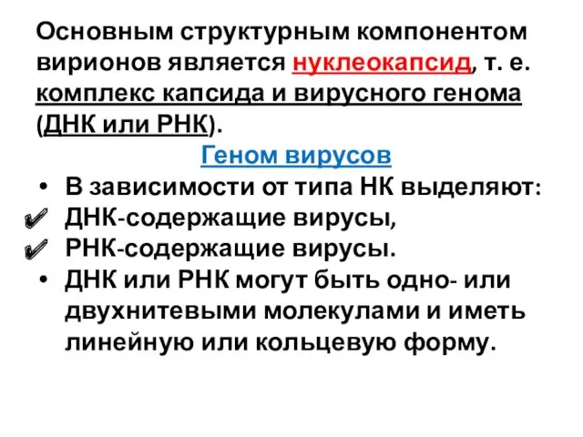 Основным структурным компонентом вирионов является нуклеокапсид, т. е. комплекс капсида