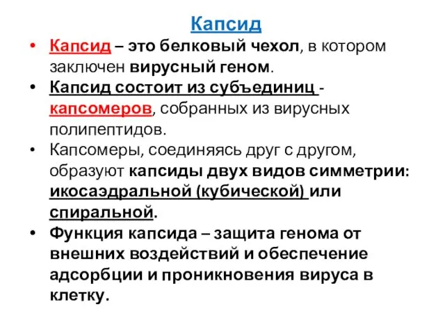 Капсид Капсид – это белковый чехол, в котором заключен вирусный