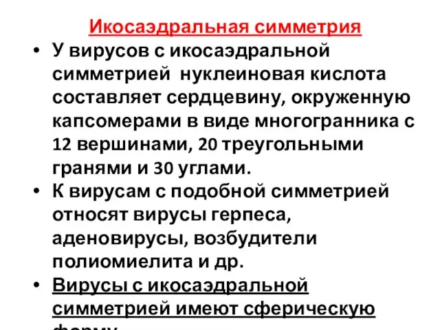 Икосаэдральная симметрия У вирусов с икосаэдральной симметрией нуклеиновая кислота составляет