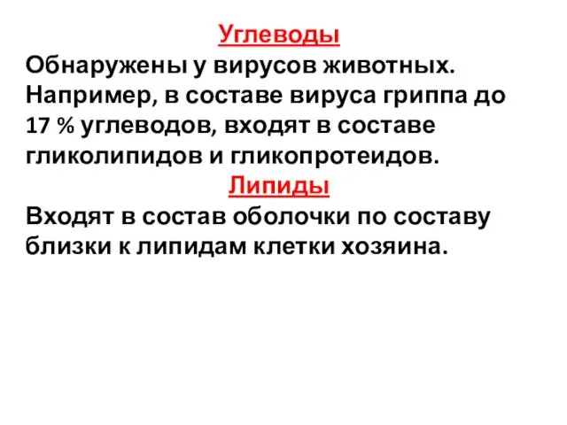 Углеводы Обнаружены у вирусов животных. Например, в составе вируса гриппа