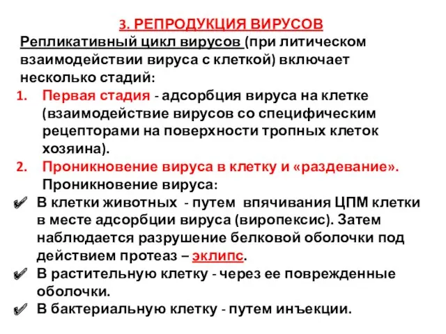 3. РЕПРОДУКЦИЯ ВИРУСОВ Репликативный цикл вирусов (при литическом взаимодействии вируса