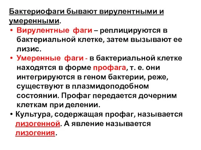 Бактериофаги бывают вирулентными и умеренными. Вирулентные фаги – реплицируются в