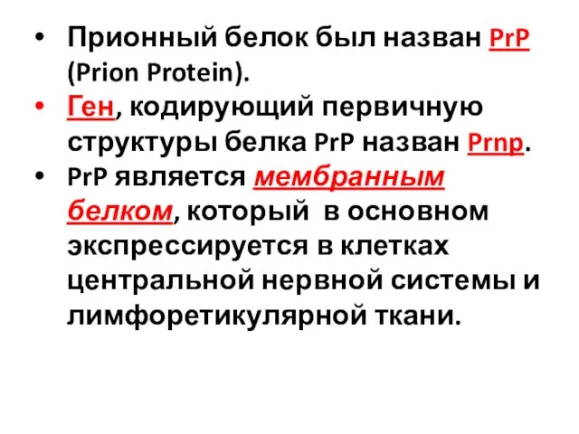 Прионный белок был назван PrP (Prion Protein). Ген, кодирующий первичную