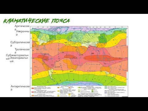 Экваториальный Субэкваториальный Тропический Субтропический Умеренный Антарктический Арктический