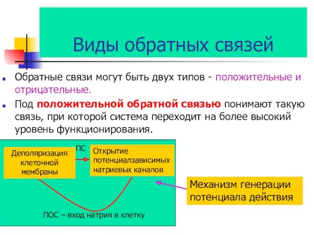 Виды обратных связей Обратные связи могут быть двух типов -