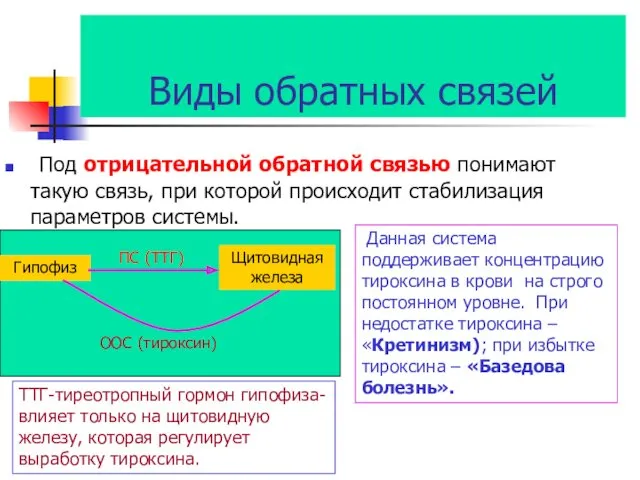 Виды обратных связей Под отрицательной обратной связью понимают такую связь,