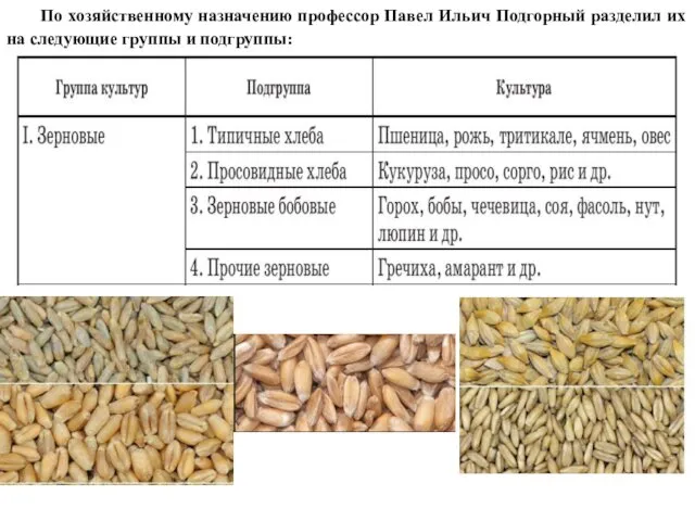 По хозяйственному назначению профессор Павел Ильич Подгорный разделил их на следующие группы и подгруппы: