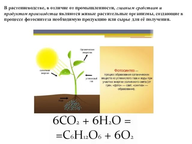 В растениеводстве, в отличие от промышленности, главным средством и продуктом