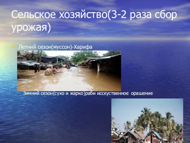 Сельское хозяйство(3-2 раза сбор урожая) Летний сезон(муссон)-Харифа Зимний сезон(сухо и жарко)раби исскуственное орашение