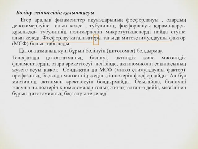 Бөліну жіпшесінің қалыптасуы Егер аралық филаменттер ақуыздарының фосфорлануы , олардың