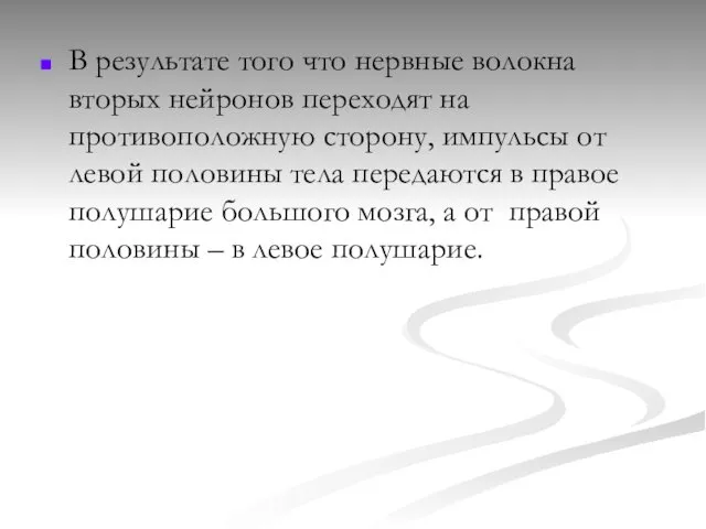 В результате того что нервные волокна вторых нейронов переходят на