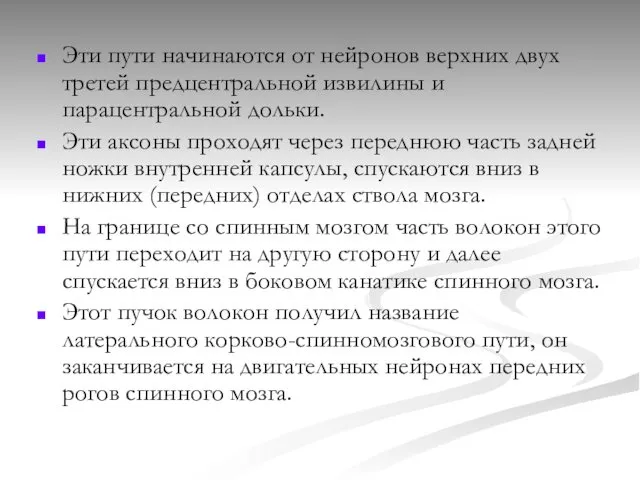 Эти пути начинаются от нейронов верхних двух третей предцентральной извилины