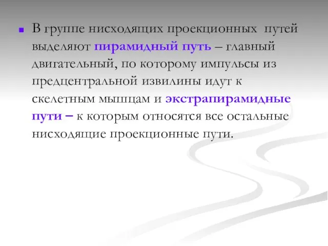 В группе нисходящих проекционных путей выделяют пирамидный путь – главный