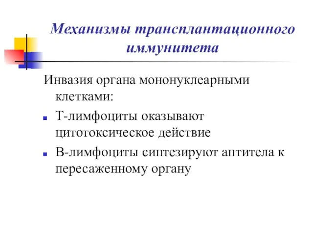 Механизмы трансплантационного иммунитета Инвазия органа мононуклеарными клетками: Т-лимфоциты оказывают цитотоксическое