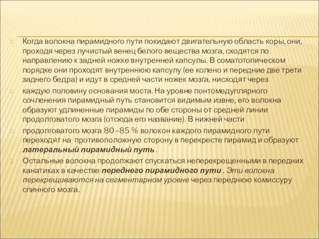 Когда волокна пирамидного пути покидают двигательную область коры, они, проходя